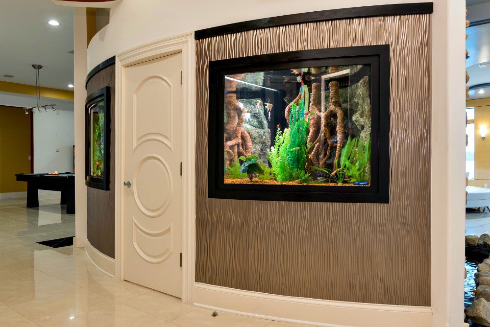 Project Highlight: Marvelous Woodworking on Animal Planet’s “Tanked”